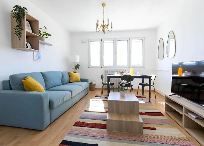Tres Bel Appartement Mulhouse Parking Gratuit